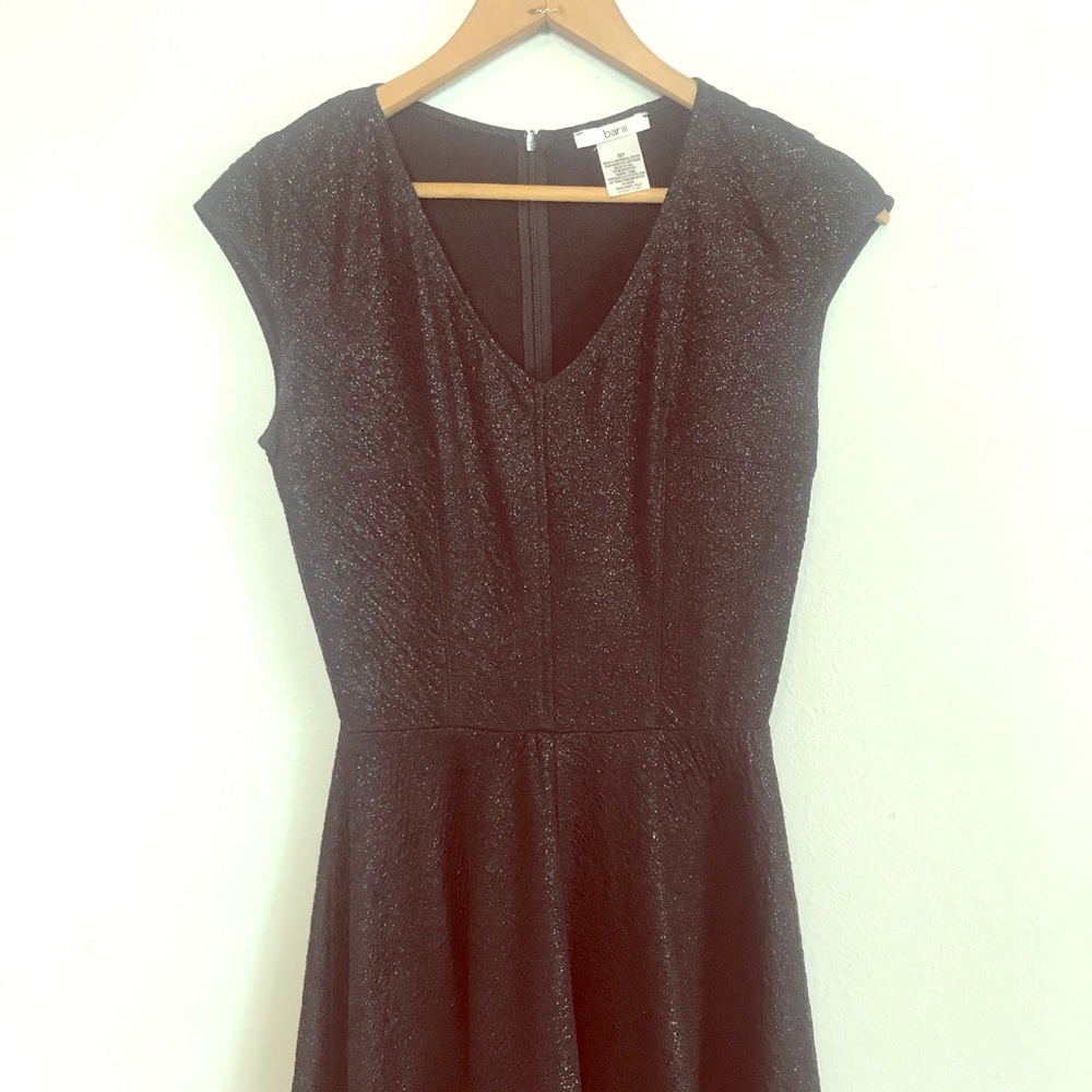 Sparkly Bar III cap sleeve circle skirt dress